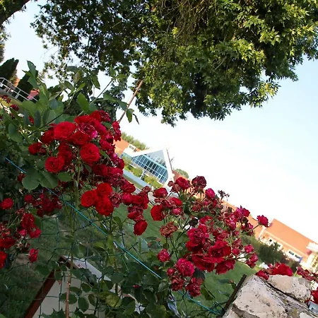 Heviz Springs - Bed & Breakfast