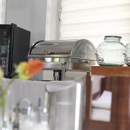 Bed & Breakfast Heviz Springs - 4*