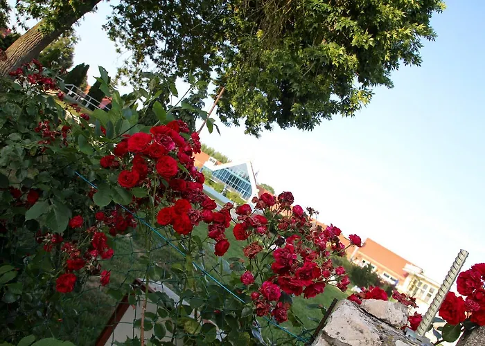 Heviz Springs - Bed & Breakfast